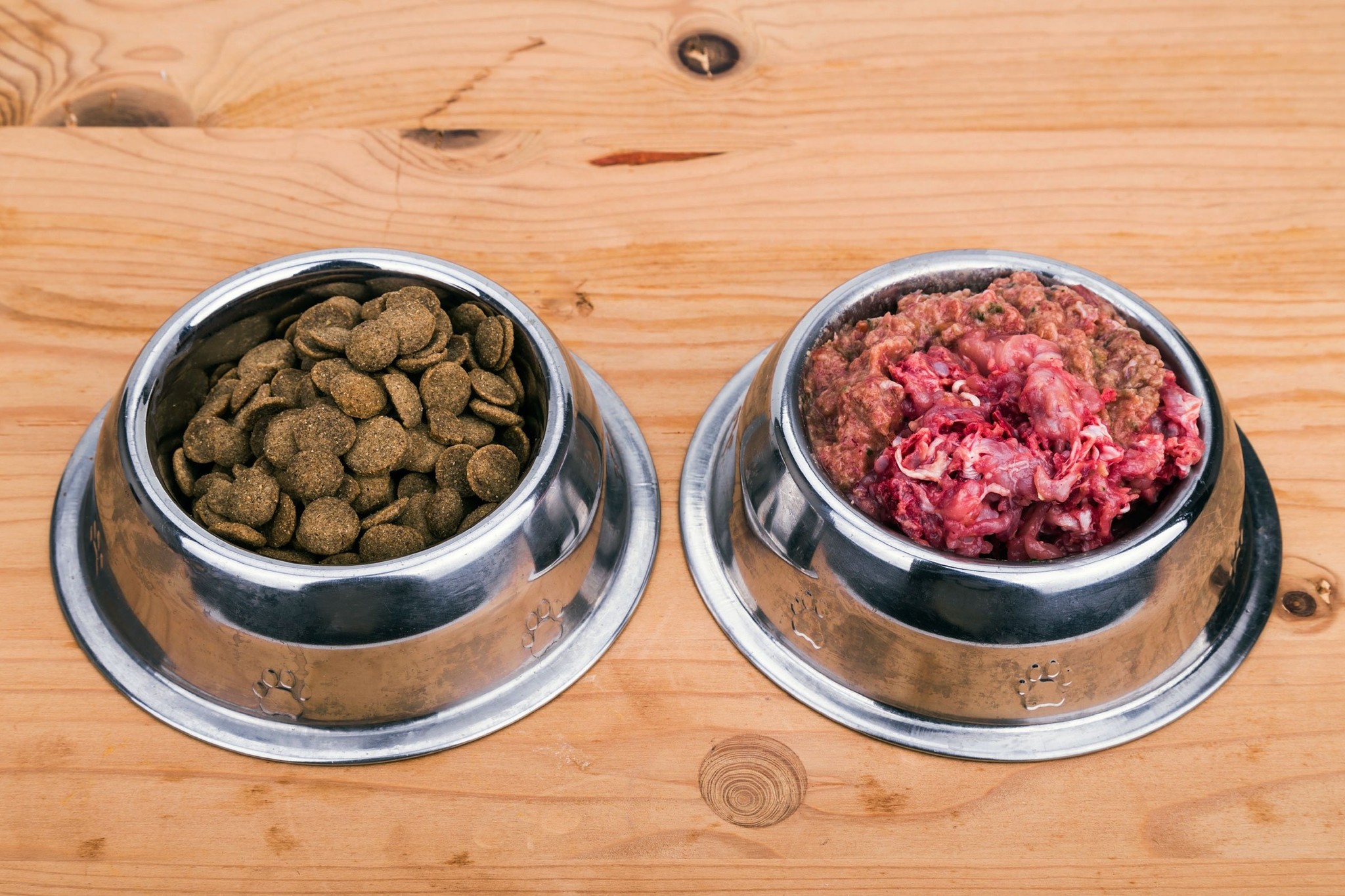 Why should you raw feed dogs and cats
